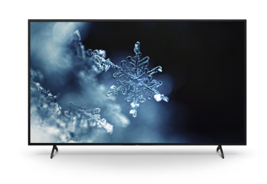 Sony BRAVIA BZ30L