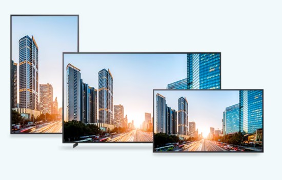 Sony BRAVIA 100-inch Display